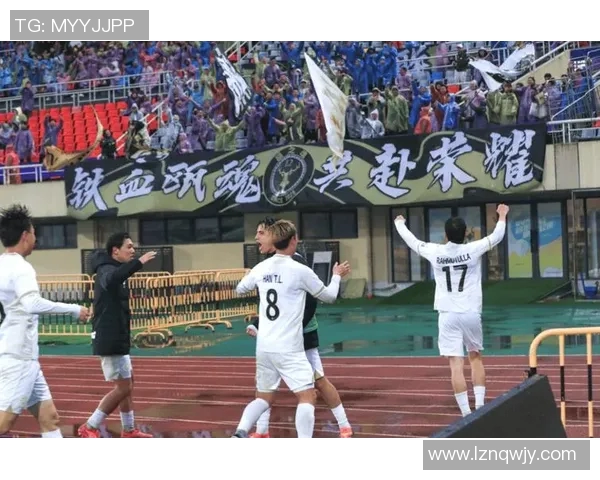 欧洲球星现场观战中国足球赛事 深度分析对中国足球发展的影响